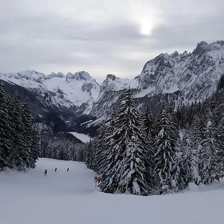 Daire Dachstein View *