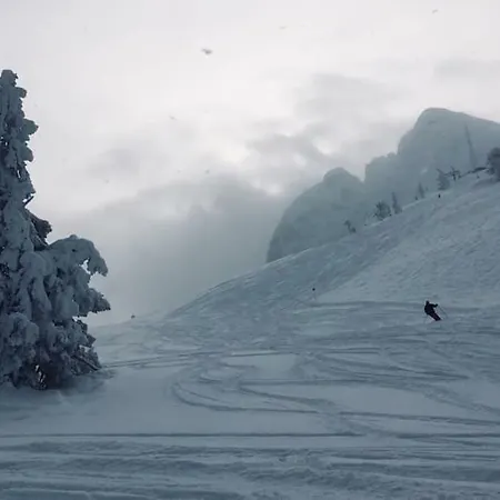 Daire Dachstein View