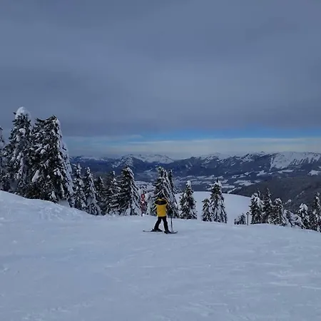 Daire Dachstein View Gosau