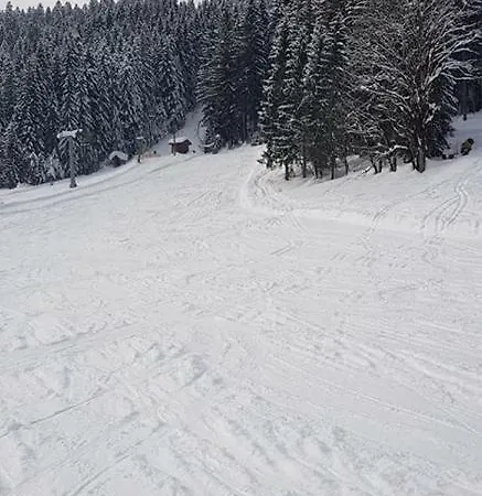 Dachstein View * Gosau