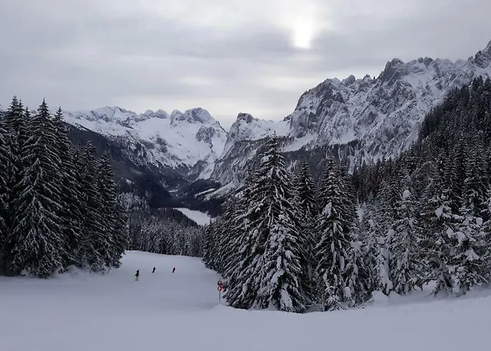 Daire Dachstein View *