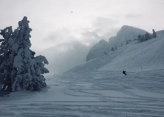 Daire Dachstein View