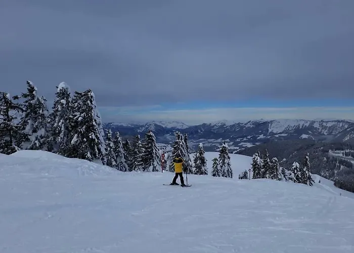 Daire Dachstein View Gosau