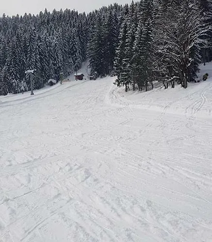 Dachstein View * Gosau