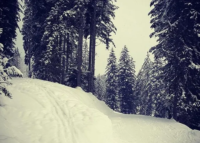 Daire Dachstein View Gosau