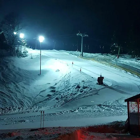 Dachstein View Appartement