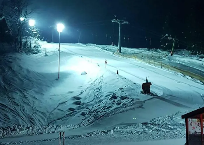 Dachstein View Appartement